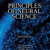 Principles of Neural Science (Sixth Edition) Eric R. Kandel - eBook PDF