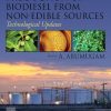Production of Biodiesel from Non-Edible Sources: Technological Updates 1st Edition - eBook PDF