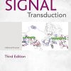 Signal Transduction, Third Edition Kramer - eBook PDF