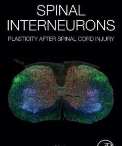 Spinal Interneurons 1st edition - eBook PDF