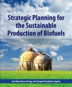 Strategic Planning for the Sustainable Production of Biofuels - eBook PDF