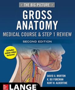 The Big Picture: Gross Anatomy, Medical Course & Step 1 Review 2nd Edition Edition David A. Morton - eBook PDF