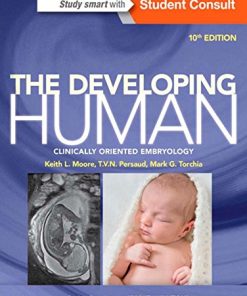 The Developing Human: Clinically Oriented Embryology, 10th Edition Keith L. Moore - eBook PDF