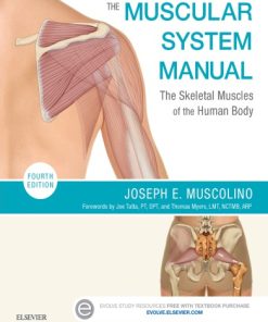 The muscular system manual: the skeletal muscles of the human body Fourth Edition Muscolino - eBook PDF