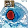 The NeuroICU Book 2nd Edition Kiwon Lee - eBook PDF