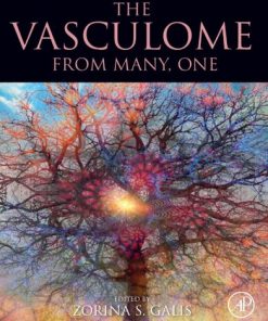The Vasculome: From Many, One 1st Edition Zorina S. Galis (Editor) - eBook PDF