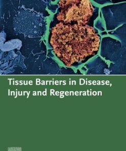 Tissue Barriers in Disease, Injury and Regeneration 1st Edition Nikolai V. Gorbunov (Editor) - eBook PDF