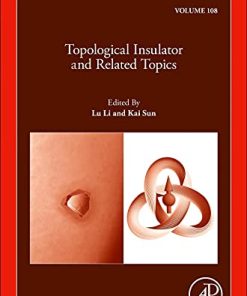 Topological Insulator and Related Topics 1st Edition Lu Li (Editor) - eBook PDF