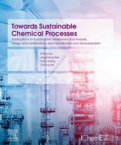 Towards Sustainable Chemical Processes: Applications of Sustainability Assessment and Analysis, Design and Optimization, and Hybridization and Modularization 1st Edition Jingzheng Ren - eBook PDF