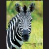 Understandable Statistics 12th Edition Brase C.H. - eBook PDF