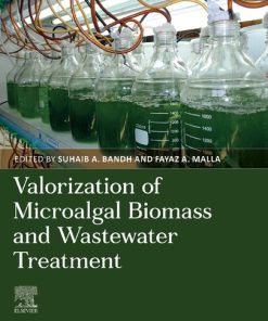 Valorization of Microalgal Biomass and Wastewater Treatment 1st edition - eBook PDF