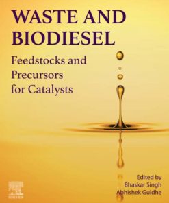 Waste and Biodiesel: Feedstocks and Precursors for Catalysts 1st Edition- eBook PDF